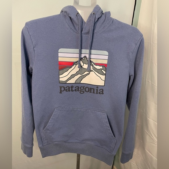 Patagonia Other - Patagonia blue Hoodie men’s size small